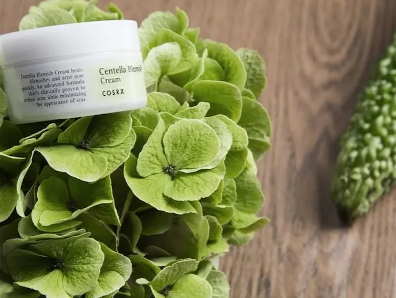 Extract de centella asiatică în cosmetologie